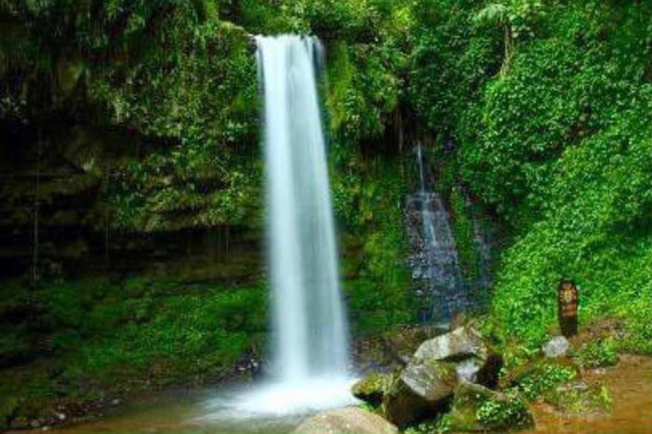 Oyo 90396玛华雨林天堂酒店 Tambunan 外观 照片